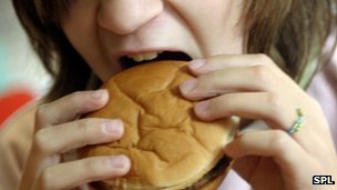 Fast food often contains high levels of "unhealthy" fat